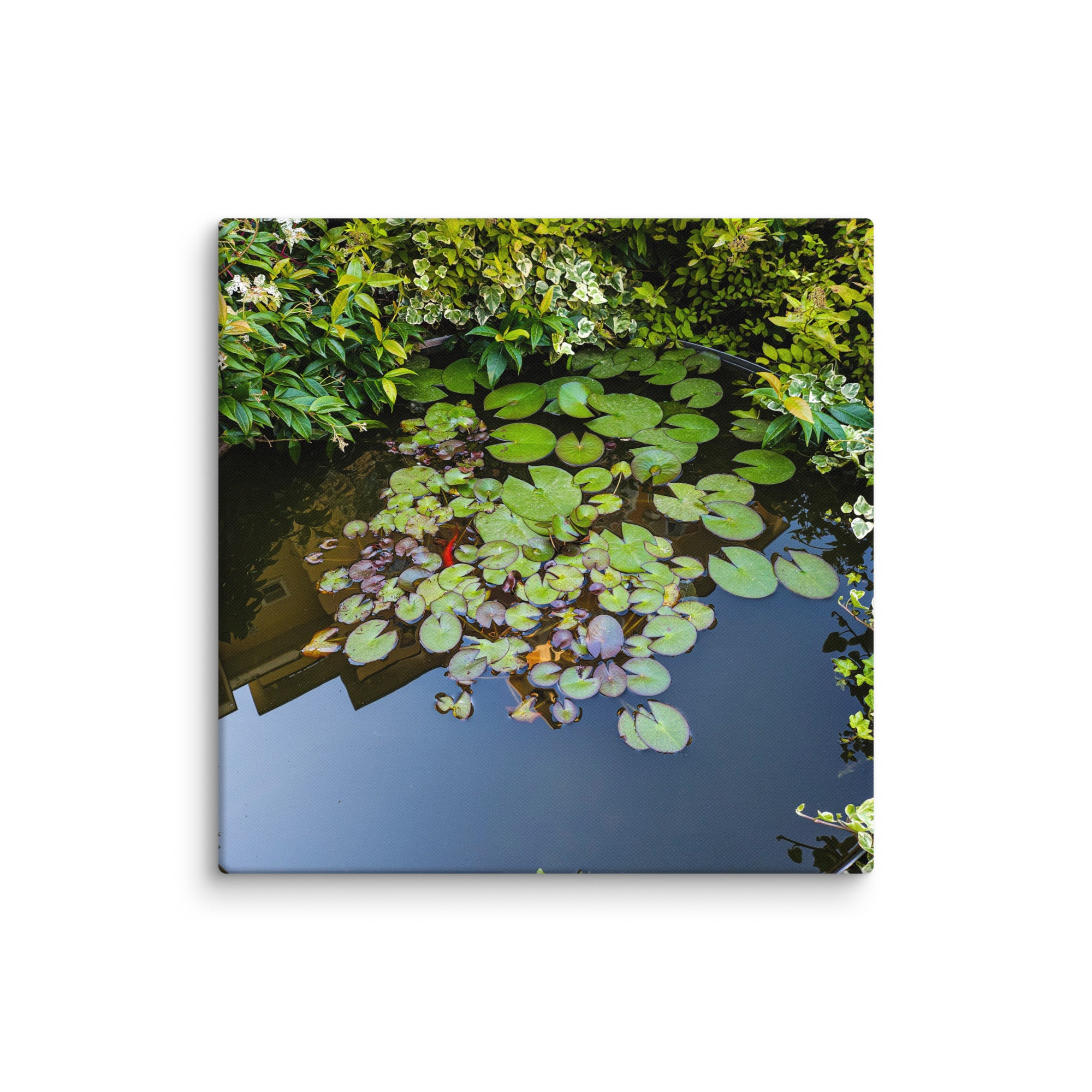 Canvas of a Pond and Lily Pads in Darfo Boario Terme Italy - Rosetta Creative Boutique